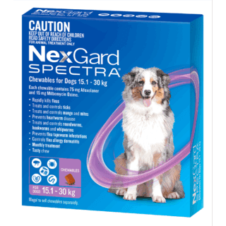 NexGard Spectra Large Dog 15.1kg - 30kg (Purple)