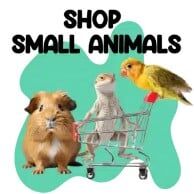 Small Animals