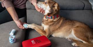 pet first aid at home