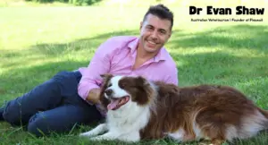 Picture of Dr. Evan Shaw