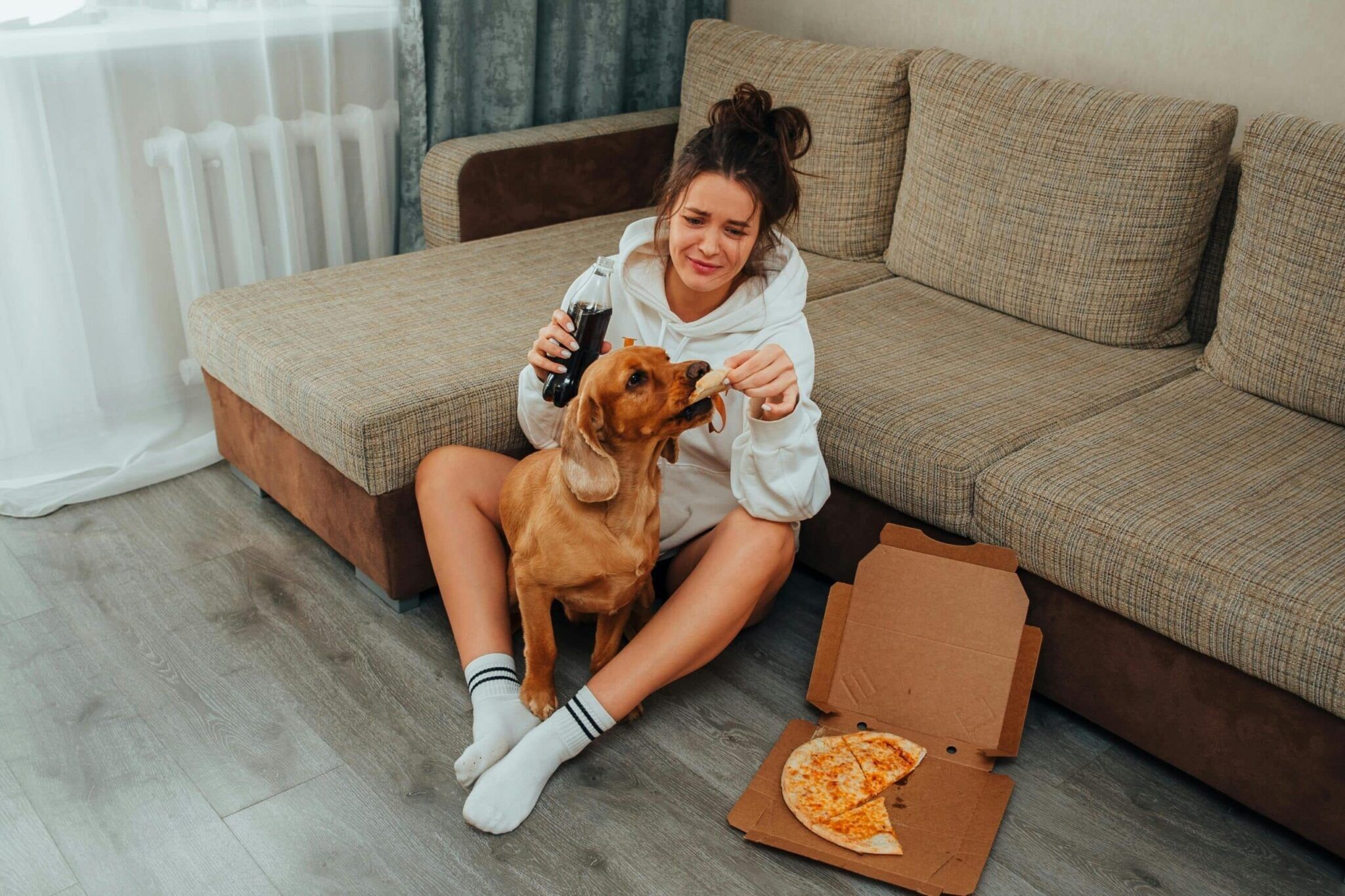 Pets Food
