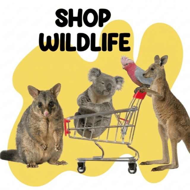 Wildlife