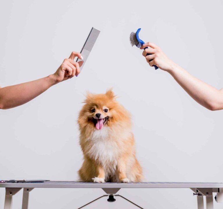 Grooming