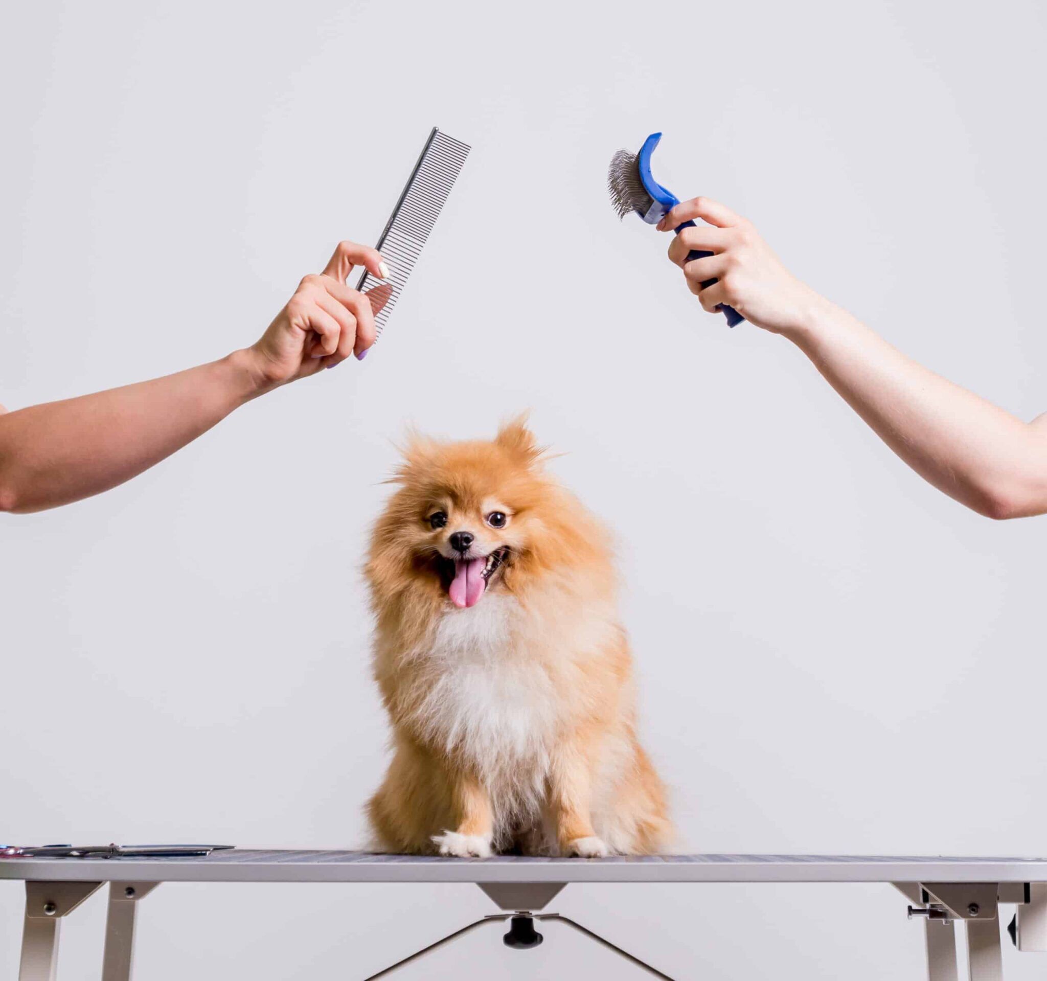 Grooming