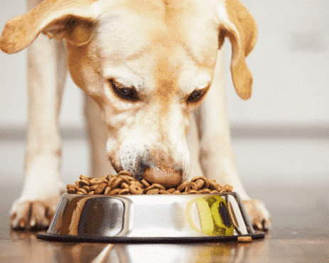 Healthy dog treats – ISLE & SKY Chicken Neck Bites Small 12PCS – natural Tasmanian dog snacks