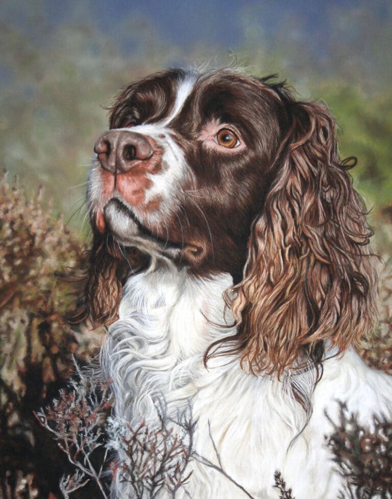 A brown hairy dog with white body of fur