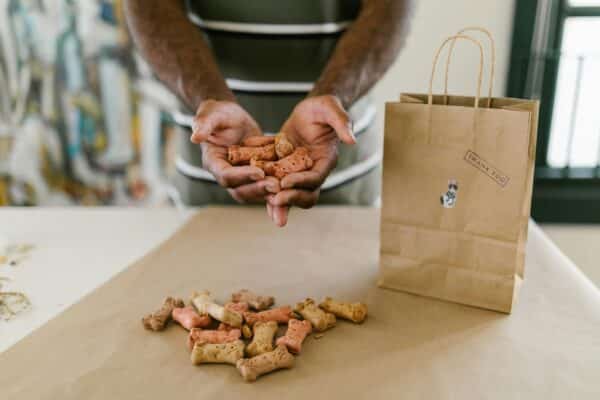 hommade pets food